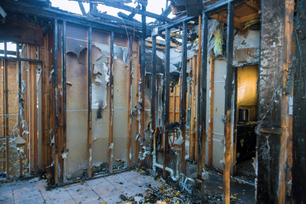 Professional Odor Removal technician working in Fairfield, IL